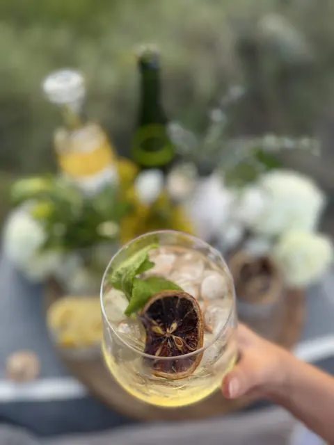 A guest holding a spritz garnished with mint and a dried citrus wheel
